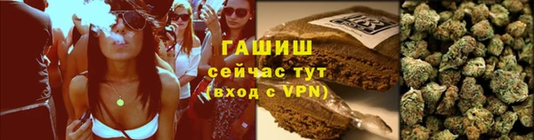 PSILOCYBIN Гусь-Хрустальный