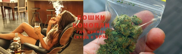 PSILOCYBIN Гусь-Хрустальный