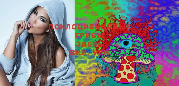 PSILOCYBIN Гусь-Хрустальный