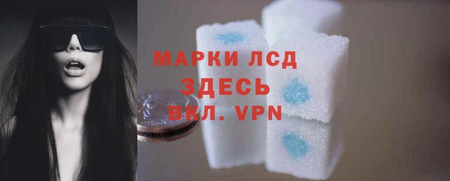mdpv Гусев