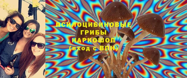 PSILOCYBIN Гусь-Хрустальный