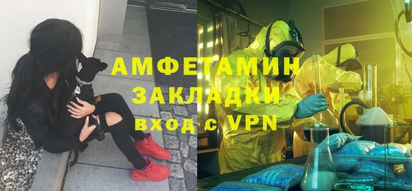 PSILOCYBIN Гусь-Хрустальный