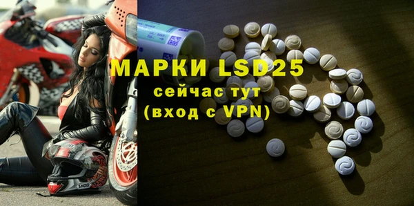 PSILOCYBIN Гусь-Хрустальный