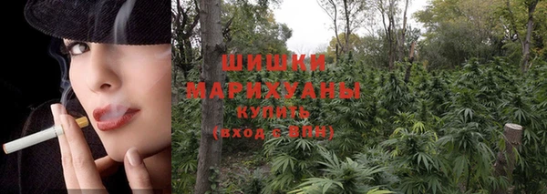 крисы Гусиноозёрск
