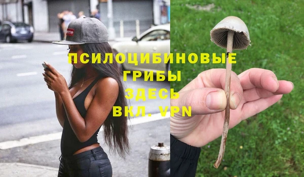 mdpv Гусев
