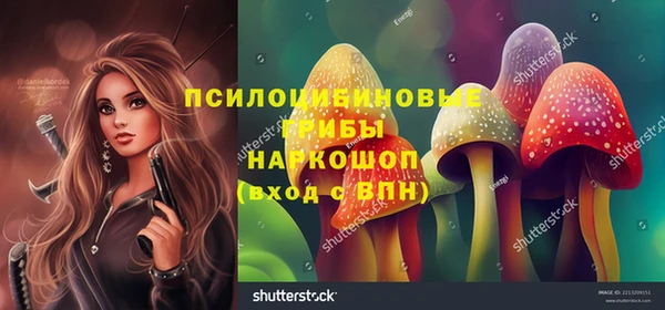 крисы Гусиноозёрск